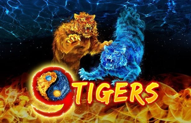 9 Tigers