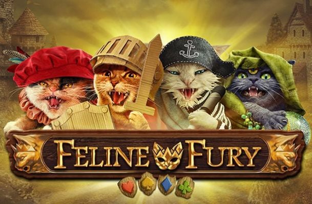 Feline Fury