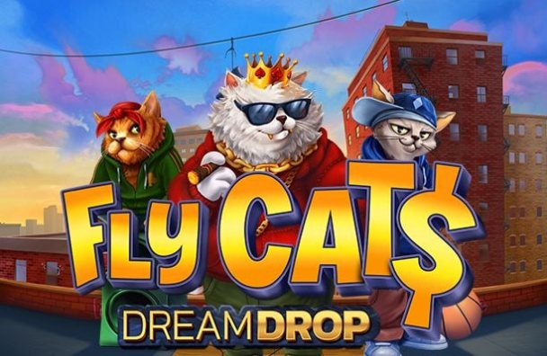 Fly Cats Dream Drop