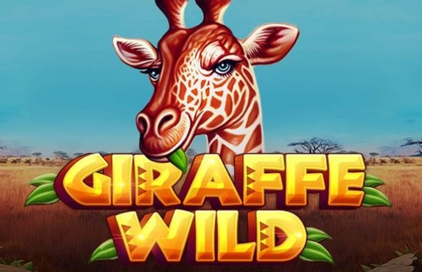 Giraffe Wild