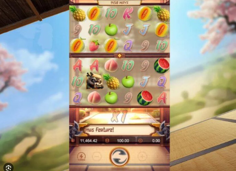 Ninja Raccoon Frenzy