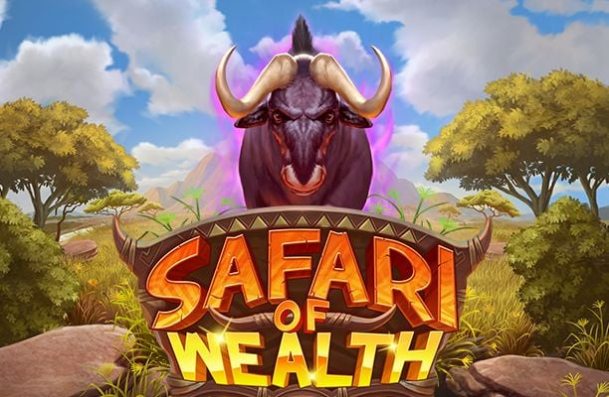 Safari of Wealth